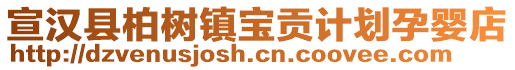 宣漢縣柏樹(shù)鎮(zhèn)寶貢計(jì)劃孕嬰店