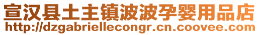 宣漢縣土主鎮(zhèn)波波孕嬰用品店