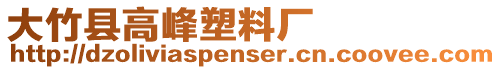 大竹縣高峰塑料廠