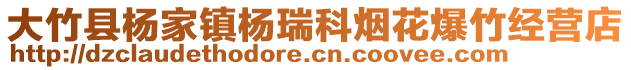 大竹縣楊家鎮(zhèn)楊瑞科煙花爆竹經(jīng)營(yíng)店