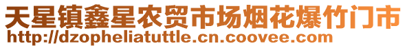 天星鎮(zhèn)鑫星農(nóng)貿(mào)市場(chǎng)煙花爆竹門市