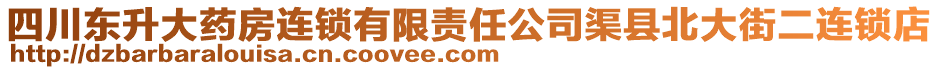 四川東升大藥房連鎖有限責任公司渠縣北大街二連鎖店