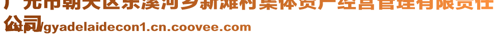 廣元市朝天區(qū)東溪河鄉(xiāng)新灘村集體資產(chǎn)經(jīng)營(yíng)管理有限責(zé)任
公司