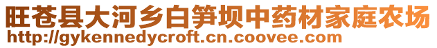 旺蒼縣大河鄉(xiāng)白筍壩中藥材家庭農(nóng)場