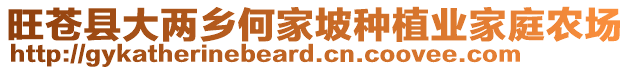 旺蒼縣大兩鄉(xiāng)何家坡種植業(yè)家庭農(nóng)場(chǎng)