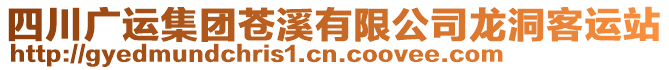 四川廣運集團蒼溪有限公司龍洞客運站