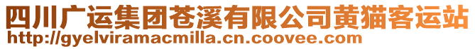 四川廣運(yùn)集團(tuán)蒼溪有限公司黃貓客運(yùn)站