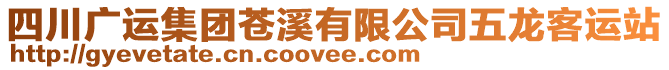 四川廣運集團蒼溪有限公司五龍客運站