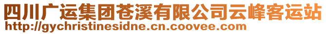 四川廣運(yùn)集團(tuán)蒼溪有限公司云峰客運(yùn)站