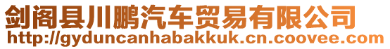 劍閣縣川鵬汽車貿易有限公司