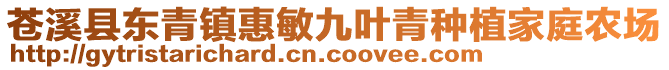 蒼溪縣東青鎮(zhèn)惠敏九葉青種植家庭農(nóng)場