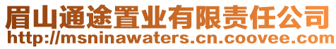 眉山通途置業(yè)有限責(zé)任公司