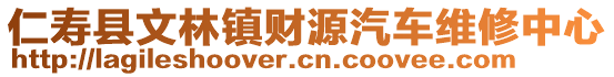 仁壽縣文林鎮(zhèn)財源汽車維修中心