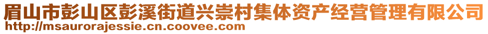 眉山市彭山区彭溪街道兴崇村集体资产经营管理有限公司