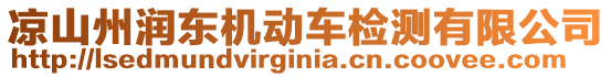 涼山州潤東機(jī)動車檢測有限公司