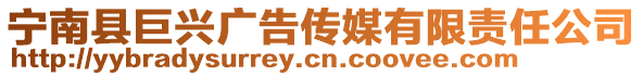 寧南縣巨興廣告?zhèn)髅接邢挢?zé)任公司