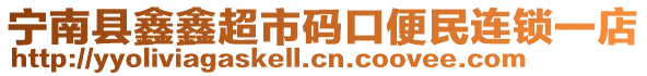 寧南縣鑫鑫超市碼口便民連鎖一店