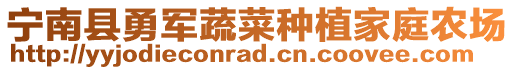 宁南县勇军蔬菜种植家庭农场