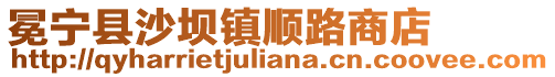 冕宁县沙坝镇顺路商店