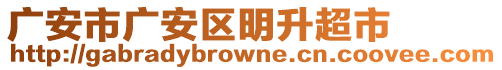 廣安市廣安區(qū)明升超市