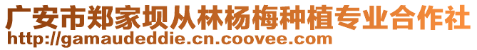 廣安市鄭家壩從林楊梅種植專業(yè)合作社