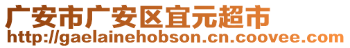 廣安市廣安區(qū)宜元超市