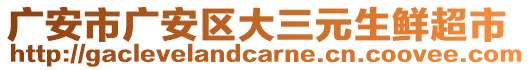 廣安市廣安區(qū)大三元生鮮超市