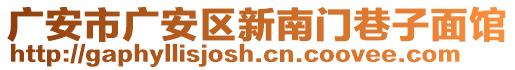 廣安市廣安區(qū)新南門巷子面館
