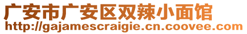 廣安市廣安區(qū)雙辣小面館