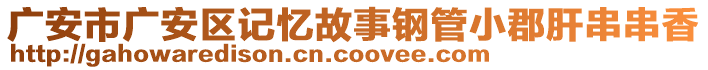 廣安市廣安區(qū)記憶故事鋼管小郡肝串串香