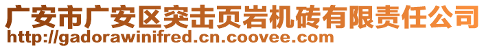 廣安市廣安區(qū)突擊頁(yè)巖機(jī)磚有限責(zé)任公司