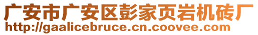 廣安市廣安區(qū)彭家頁巖機磚廠