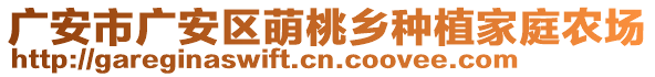 廣安市廣安區(qū)萌桃鄉(xiāng)種植家庭農(nóng)場