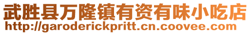 武勝縣萬隆鎮有資有味小吃店