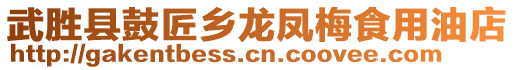 武勝縣鼓匠鄉(xiāng)龍鳳梅食用油店