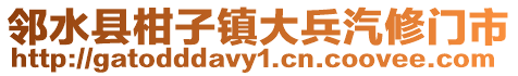 邻水县柑子镇大兵汽修门市