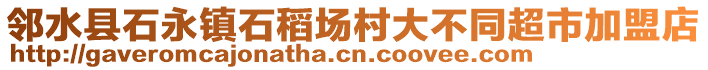 鄰水縣石永鎮(zhèn)石稻場(chǎng)村大不同超市加盟店