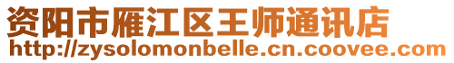 資陽市雁江區(qū)王師通訊店