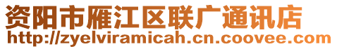 資陽市雁江區(qū)聯(lián)廣通訊店