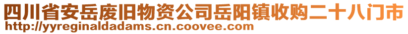 四川省安岳廢舊物資公司岳陽鎮(zhèn)收購二十八門市