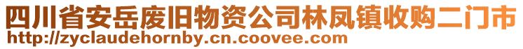 四川省安岳廢舊物資公司林鳳鎮(zhèn)收購(gòu)二門市