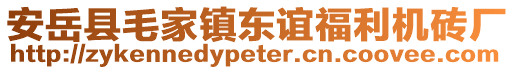 安岳縣毛家鎮(zhèn)東誼福利機(jī)磚廠