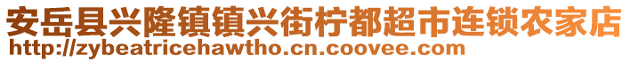 安岳县兴隆镇镇兴街柠都超市连锁农家店