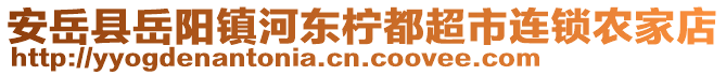 安岳县岳阳镇河东柠都超市连锁农家店