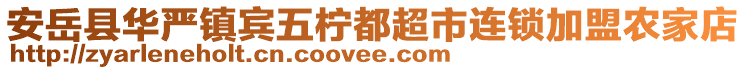 安岳县华严镇宾五柠都超市连锁加盟农家店