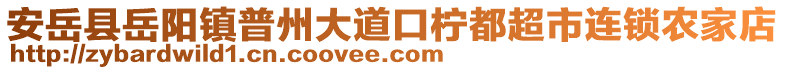 安岳縣岳陽鎮(zhèn)普州大道口檸都超市連鎖農(nóng)家店