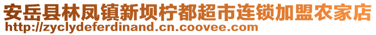 安岳县林凤镇新坝柠都超市连锁加盟农家店