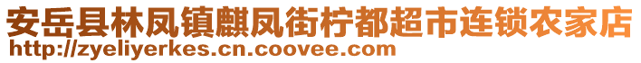 安岳縣林鳳鎮(zhèn)麒鳳街檸都超市連鎖農(nóng)家店