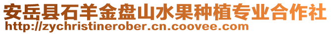 安岳縣石羊金盤山水果種植專業(yè)合作社