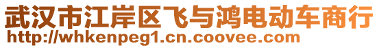 武漢市江岸區(qū)飛與鴻電動車商行